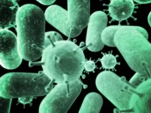 healthcare associated infections meaning (HAIs)
